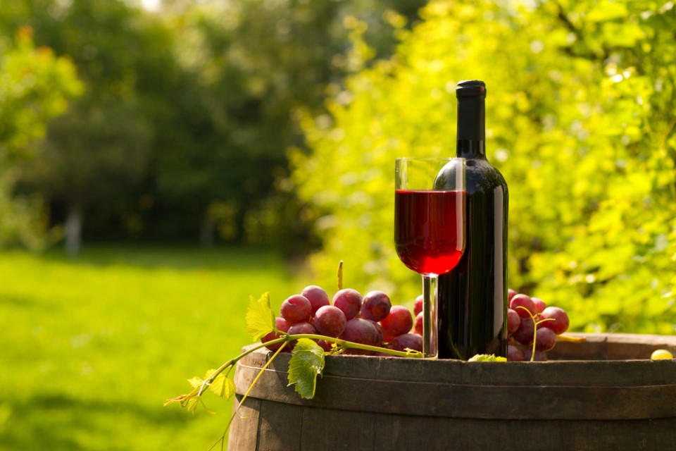 Imagen cortesía de bestday (bestday.com), todos los derechos reservados El tannat la cepa insignia